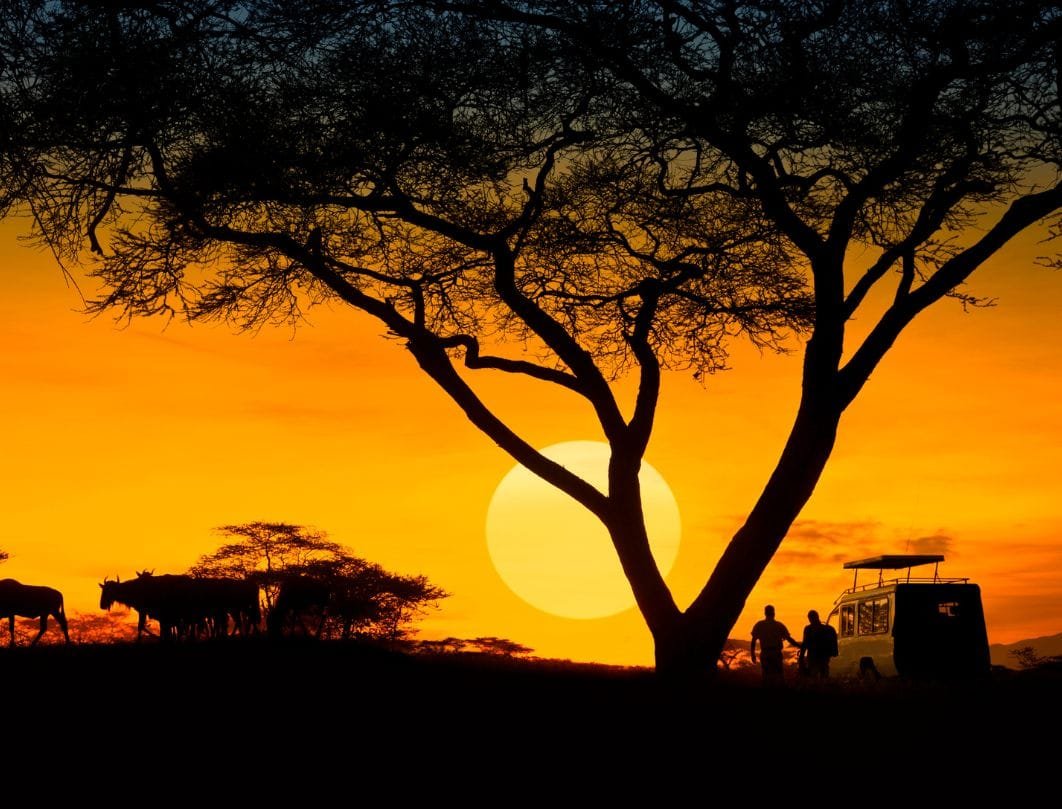Sunset Walk near Salawas