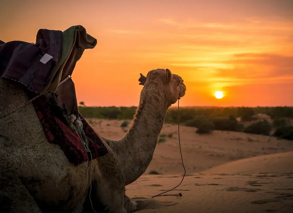 Osian Desert